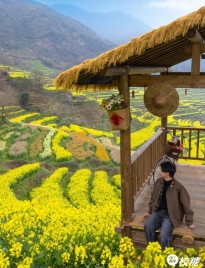 发现了一个金色的童话世界